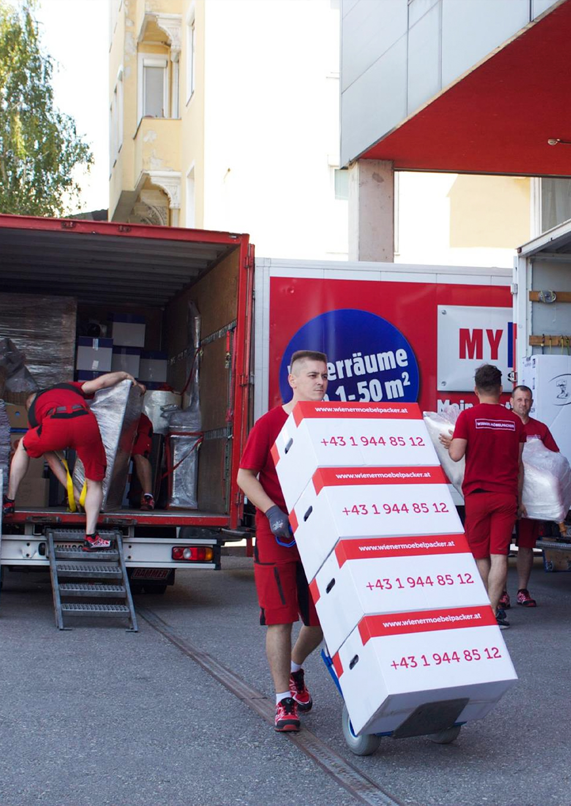 Umziehen in Niederösterreich
